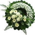 Ankara Elvankent �i�ek�i firma �r�n�m�z  cenazeye �i�ek �eleng modeli Ankara �i�ek g�nder firmas� �ahane �r�n�m�z 