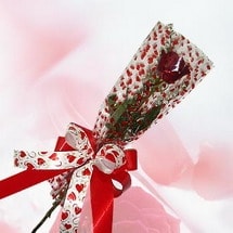 Ostim ve Ankara i�in g�rsel bir tanzim  masumane tek k�zm�z� g�l