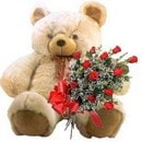Ankara Ba�lum �i�ek�i firma �r�n�m�z  9 adet g�l ve orta boy ay�c�k