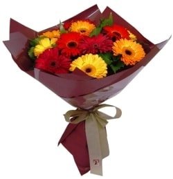 �zel bir tanzim isteyenler i�in   renkli ve canl�m� canl� gerberalar