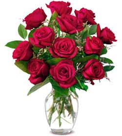 Ankarade farkl� bir �i�ek firmas� �r�n�   Sevgiye hasret g�lleri Ankara �i�ek g�nder firmas� �ahane �r�n�m�z 