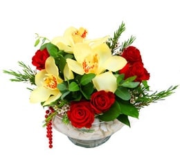 camda 5 adet g�l ve 3 adet kandil orkide Ankara Ostim �i�ek g�nderimi  firmas� �r�n�m�z   