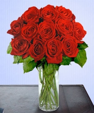 Ostim �i�ek�i firmas� �r�n�m�z  Sevgi belirtisi 12 adet g�l Ankara �i�ek g�nder firmas� �ahane �r�n�m�z 