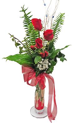 Ankara �i�ek yolla d�kkan�m�zdan  sadece etkileme g�lleri Ankara �i�ek g�nder firmas� �ahane �r�n�m�z 