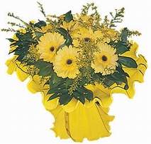 14 �ubat sevgililer g�n� firmam�zdan  taze gerbera k�r �i�ekleri demeti