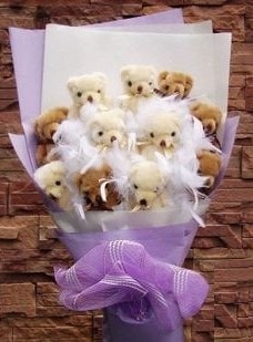 Ankara sevenlere �zel ghediyelik 11 adet ay�c�ktan pelu� oyuncak demeti 