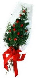 Kaliteli ve fiyat� ucuz bir �r�n  g�ller ve asalet �i�e�i